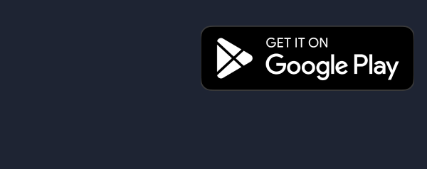 GOOGLE PLAY STORE