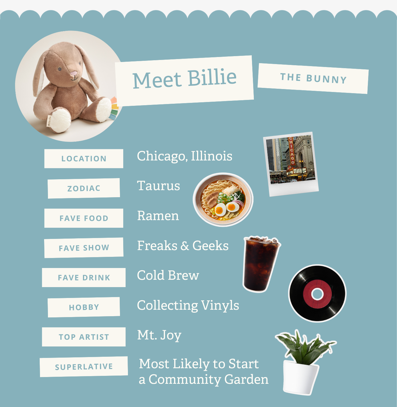 Meet Billie the Bunny shop now