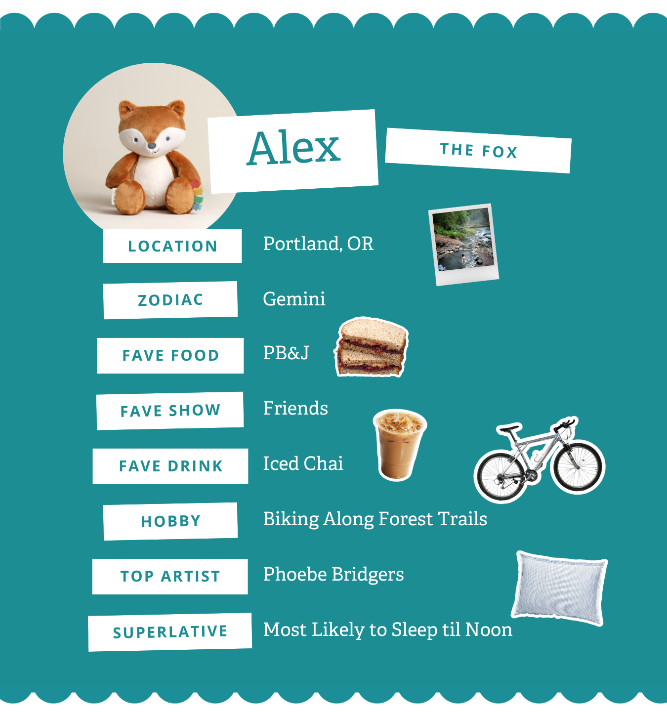 MEET ALEX THE FOX