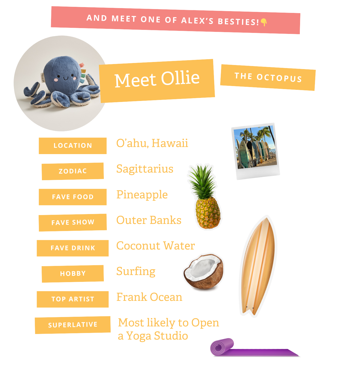 Meet Ollie the Octopus