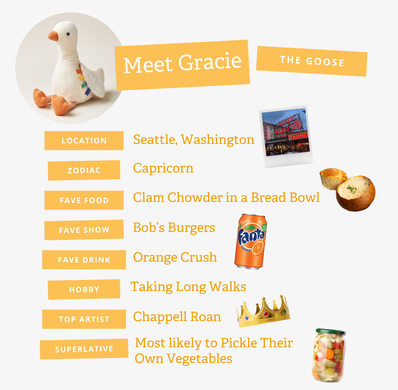 Meet Gracie the goose