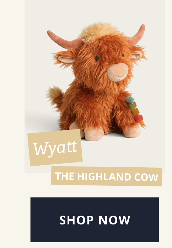 Wyatt - The Highland Cow [ SHOP NOW ]