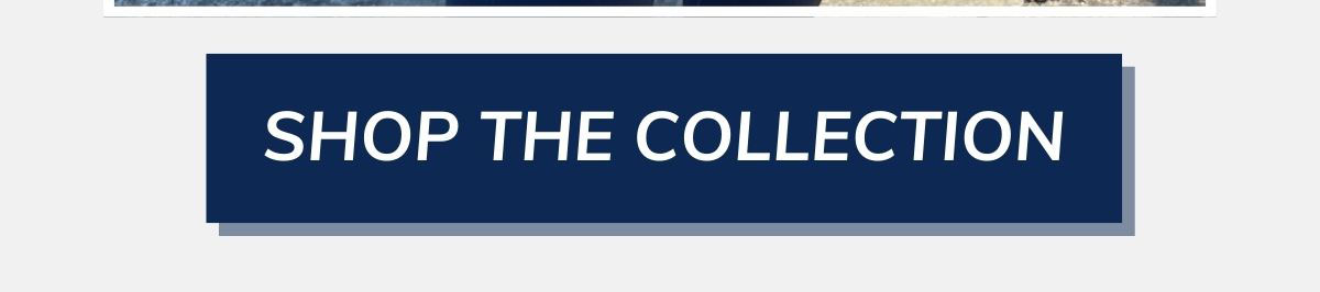shop the collection