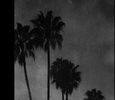 MEN'S LA COLLECTION