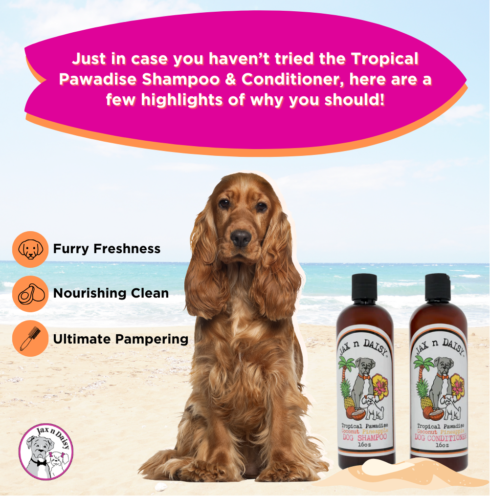 Tropical Pawadise " Coconut Pineapple " Shampoo & Conditioner Set