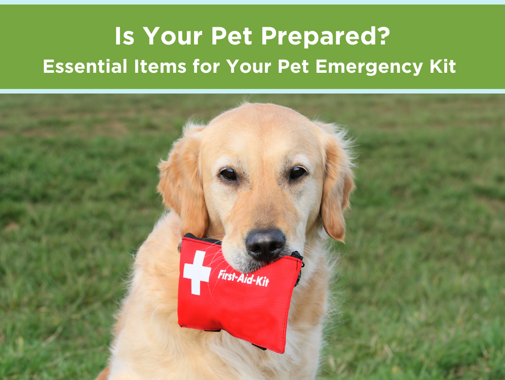 Is Your Pet Prepared?