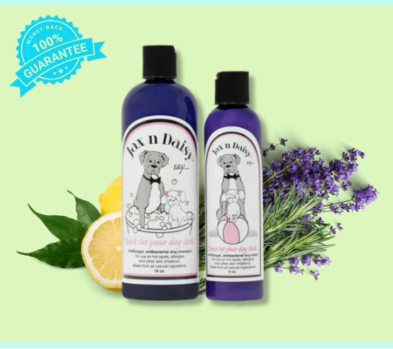 Antifungal, Antibacterial Shampoo and Lotion