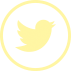 Follow Jax n Daisy on Twitter