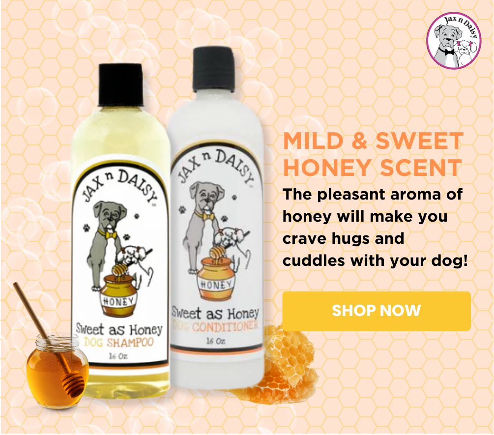 Sweet as Honey Shampoo & Conditioner Set