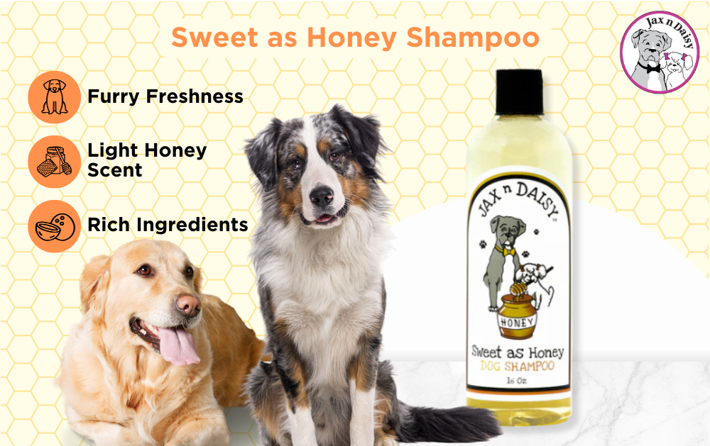 Sweet as Honey Shampoo