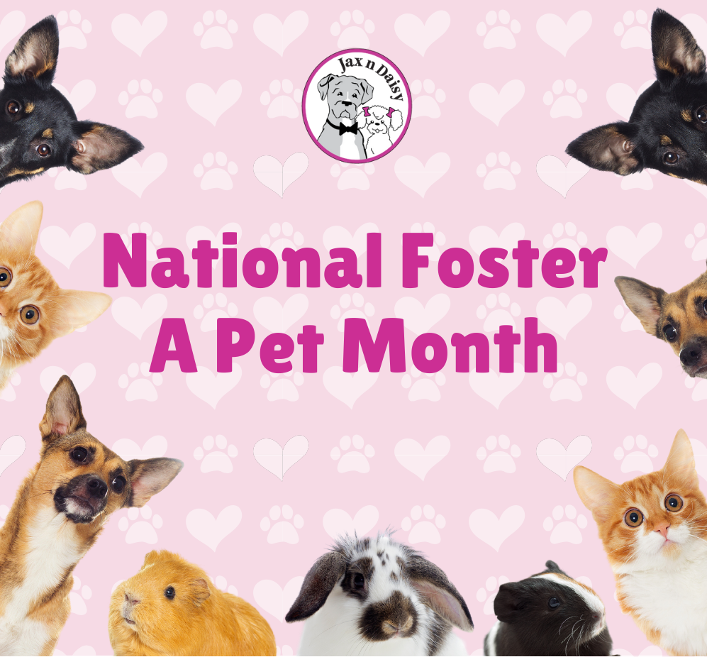 National Foster A Pet Month
