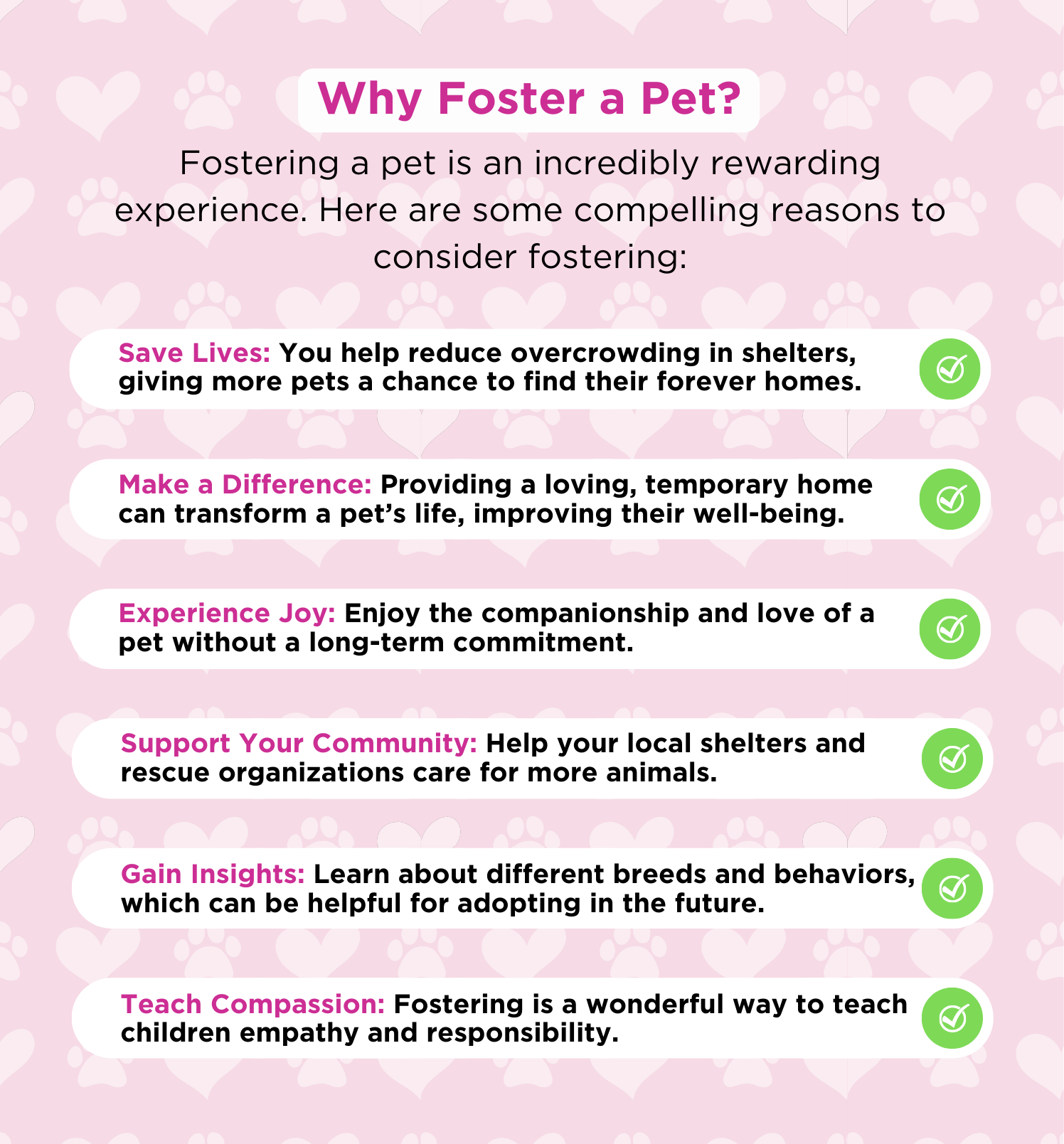 Why Foster a Pet?