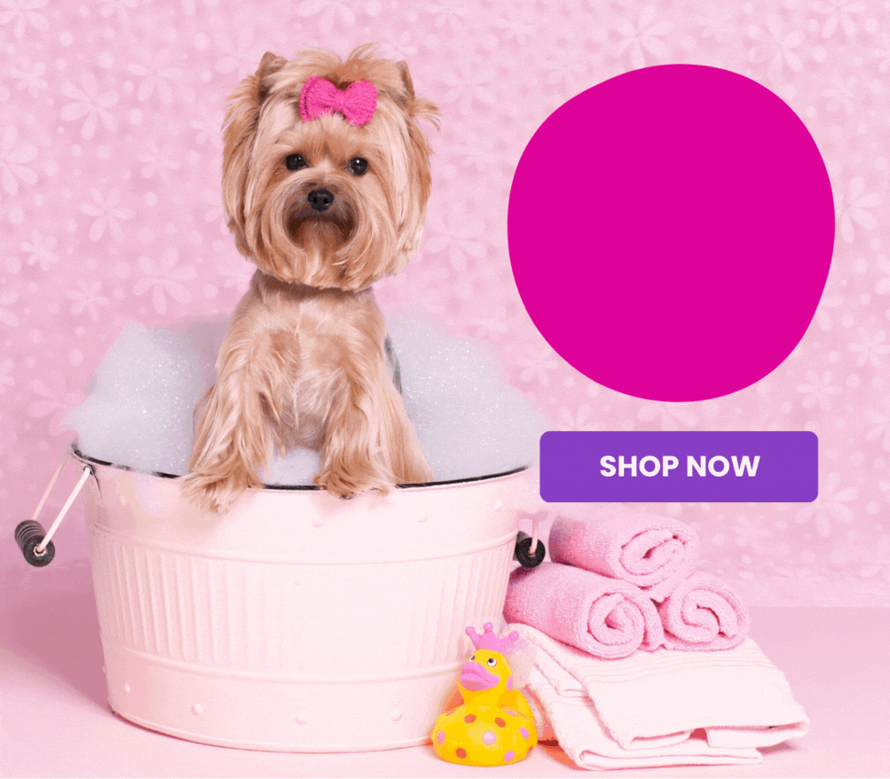 Give your dog the spa day they deserve
