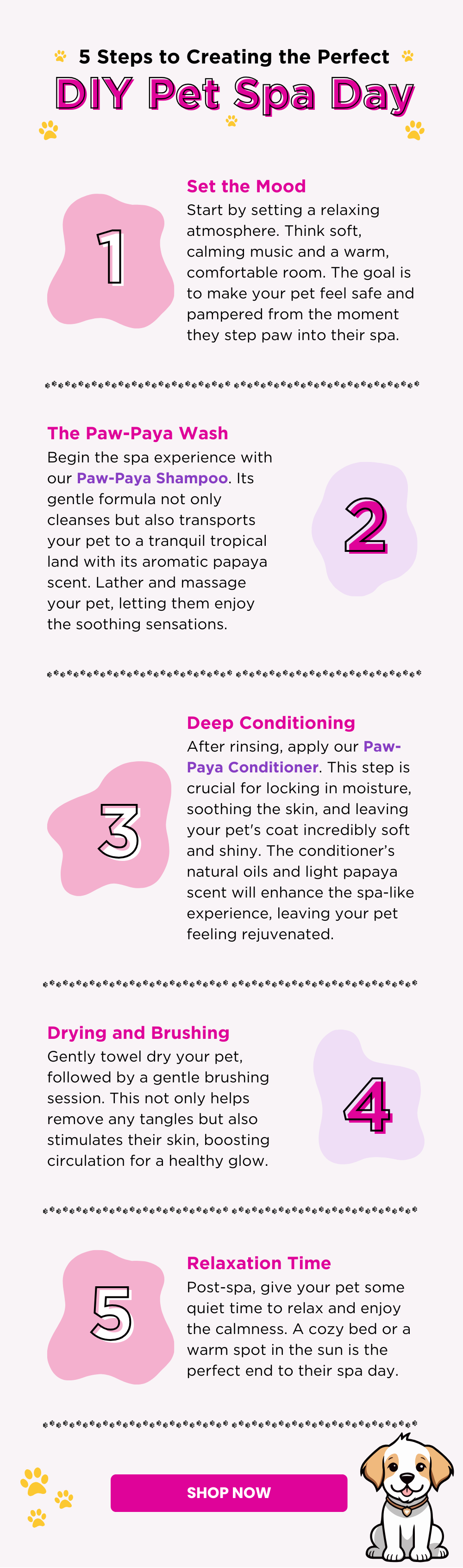 5 Steps to Creating the Perfect DIY Pet Spa Day
