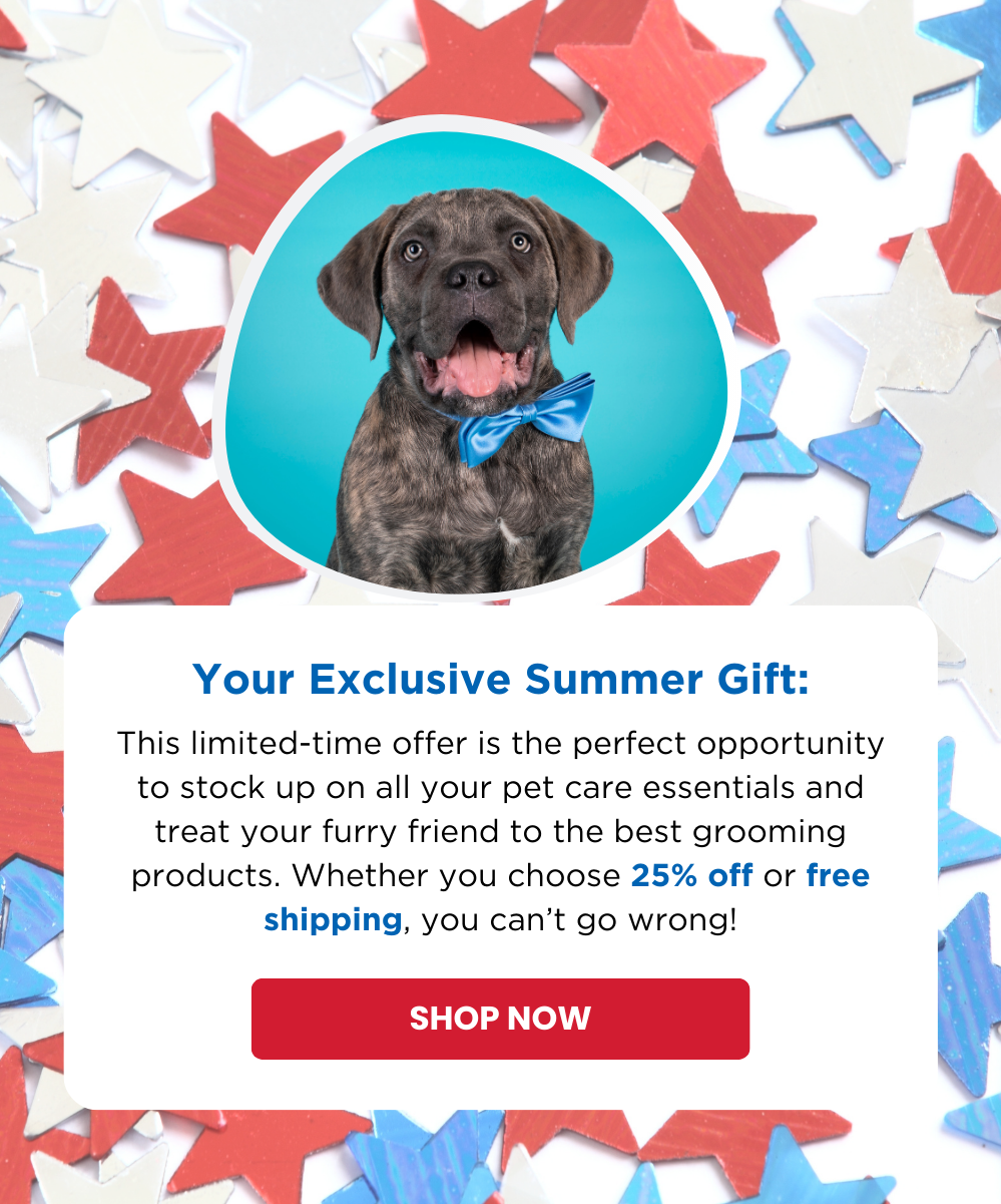 Your Exclusive Summer Gift