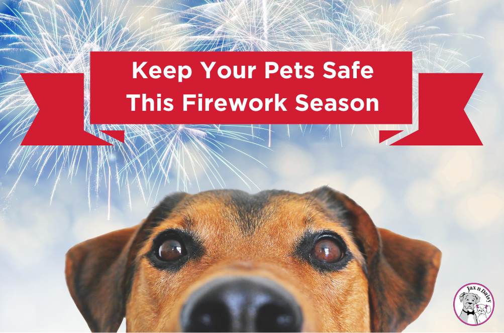 Keep Your Pets Safe This Firework Season