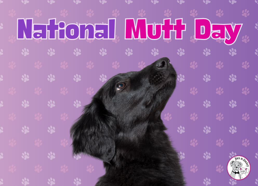 National Mutt Day
