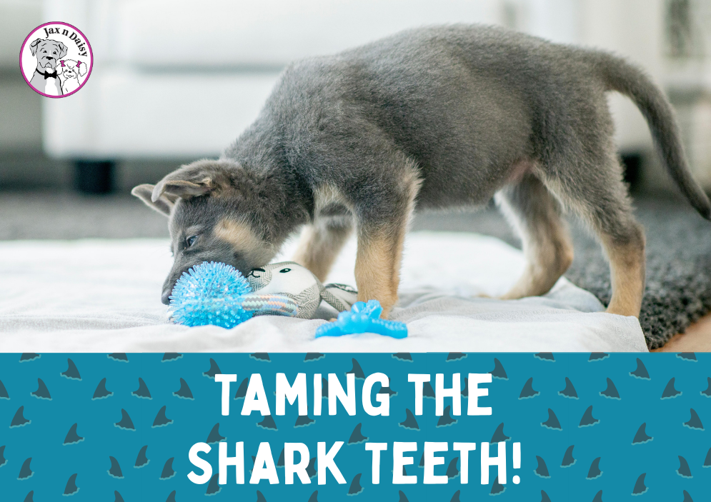 Taming the Shark Teeth!