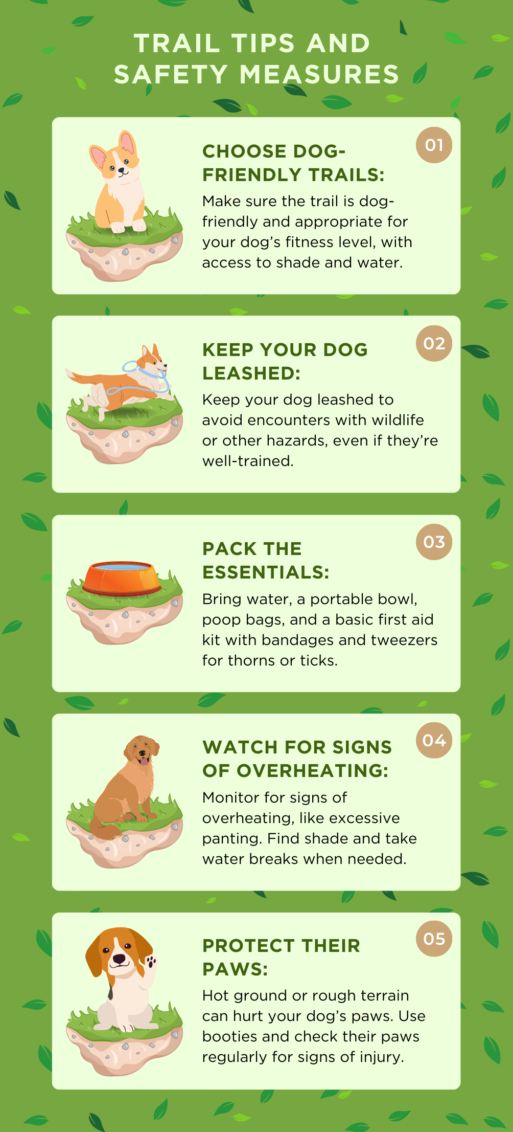 Trail Tips and Safety Measures