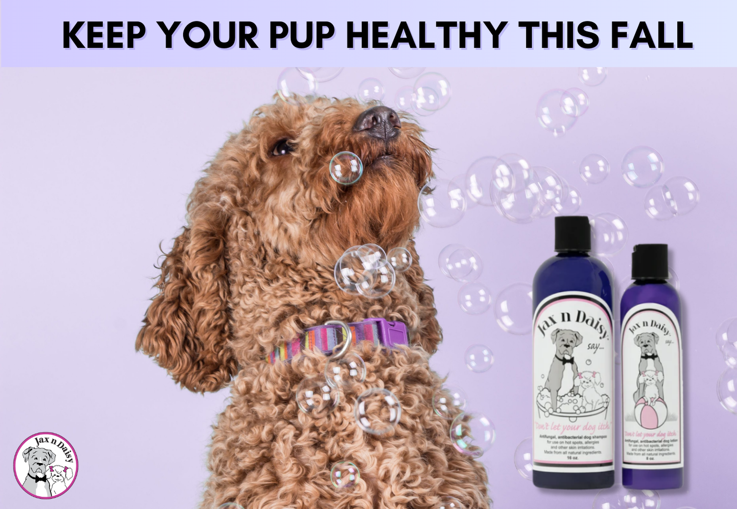 Keep Your Pup Healthy This Fall