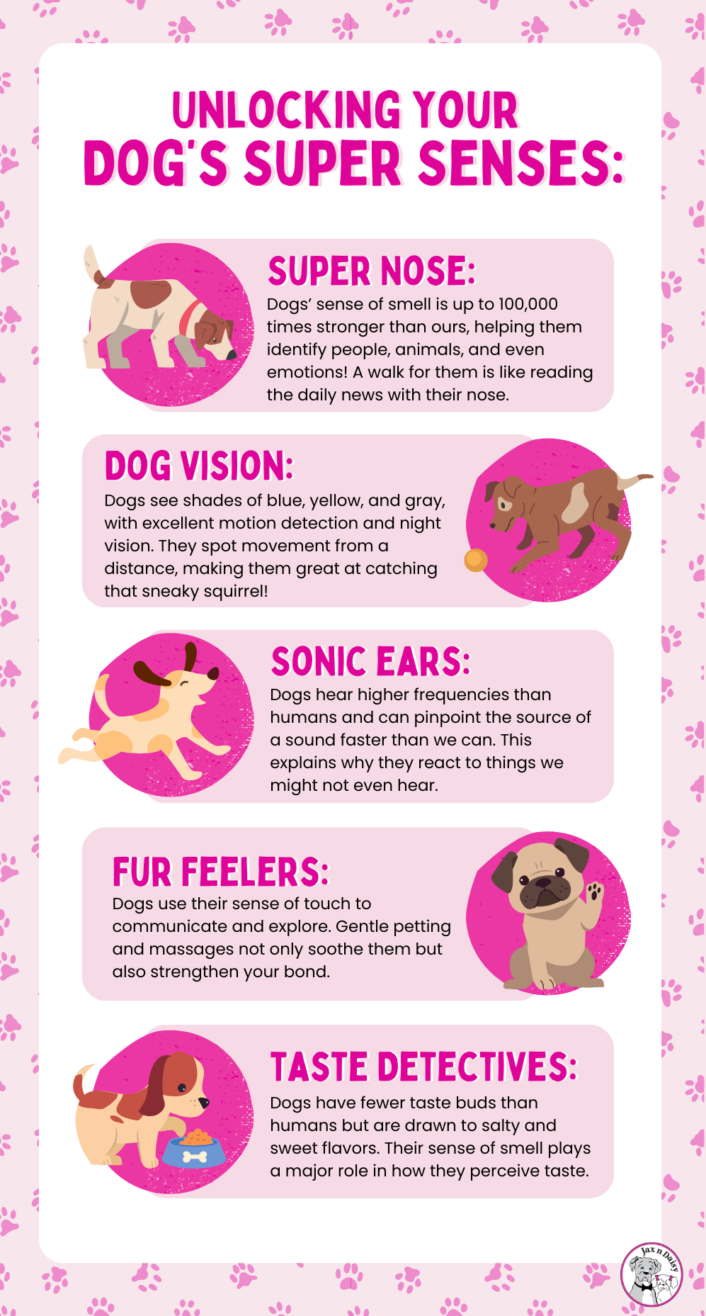Unlock Your Dog’s Super Senses