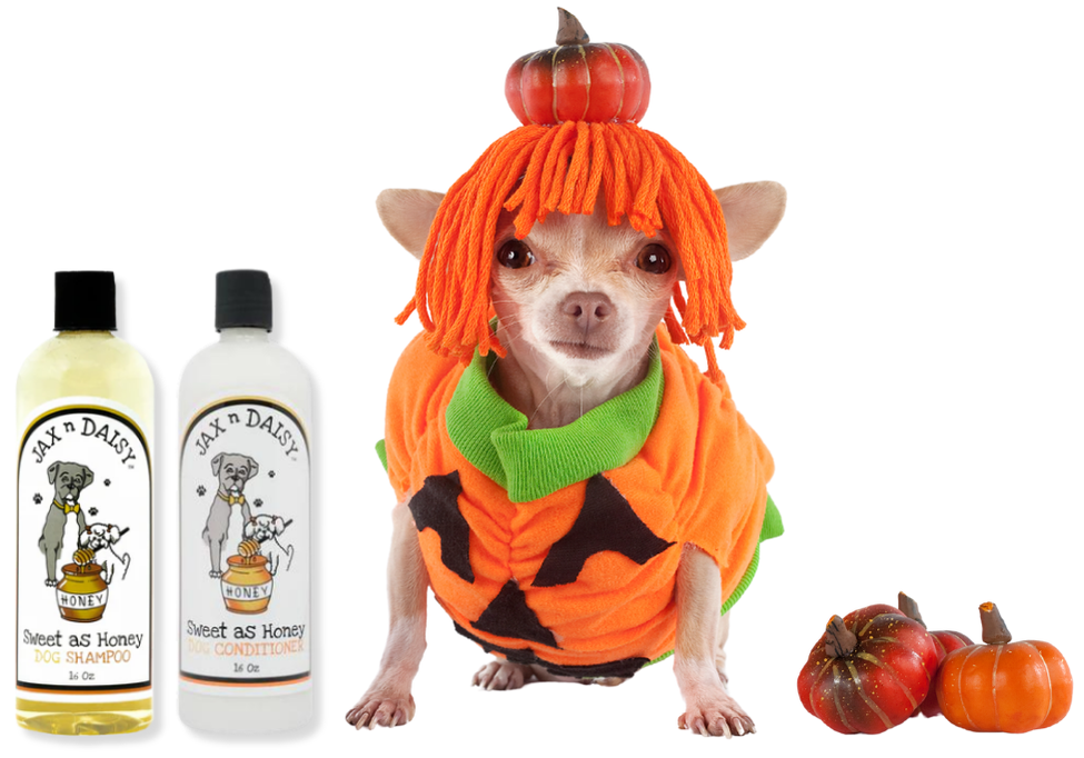 Sweet as Honey Shampoo & Conditioner Set