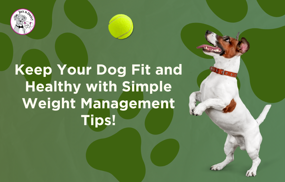 Keep Your Dog Fit and Healthy with Simple Weight Management Tips!