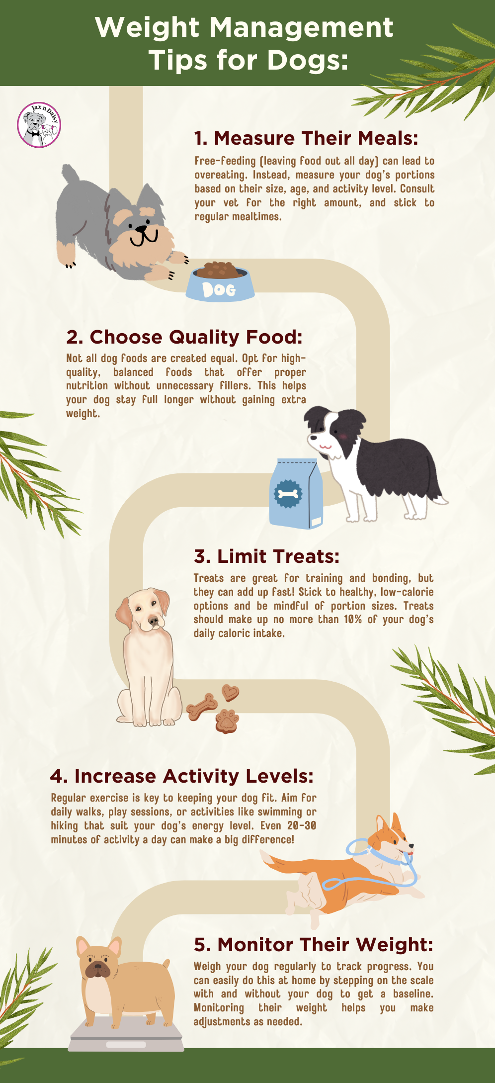 Weight Management Tips for Dogs