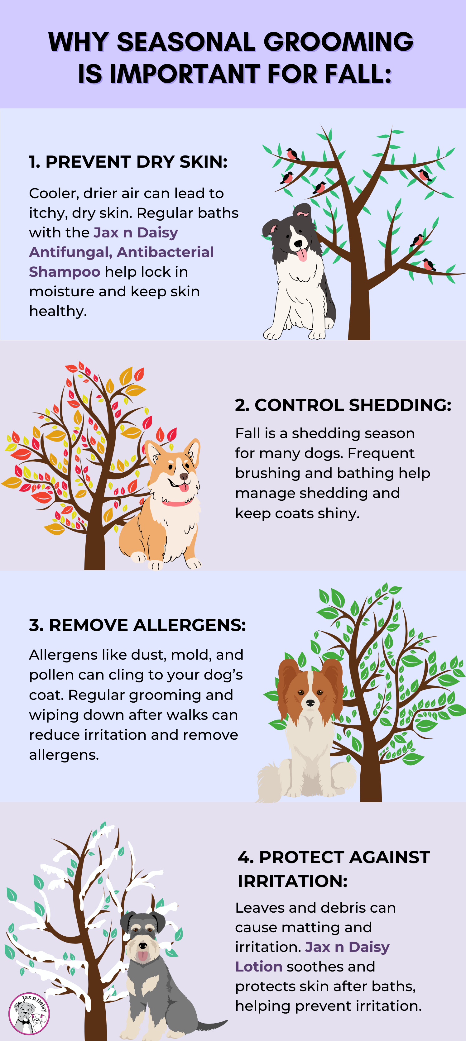 Why Seasonal Grooming Is Important for Fall