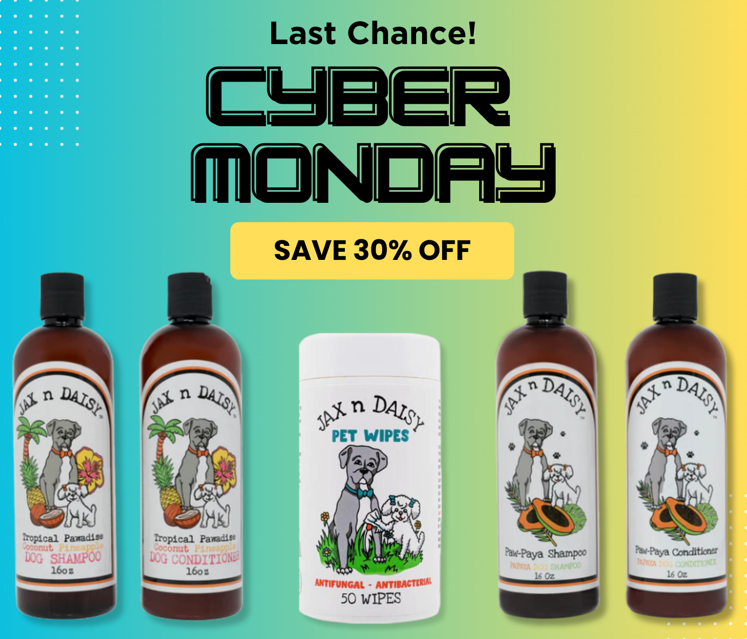 Last Chance: Cyber Monday