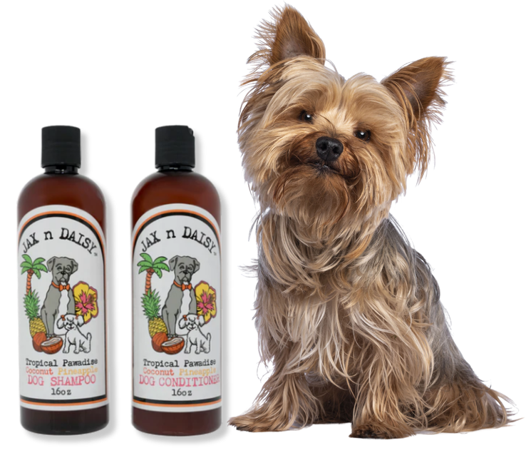 Tropical Pawadise " Coconut Pineapple " Shampoo & Conditioner Set