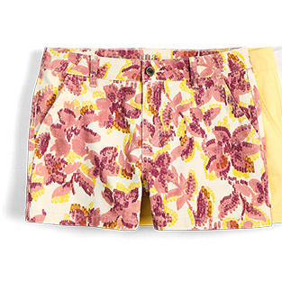 Women's Shorts 