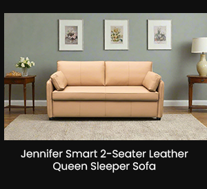  Smart 2-Seater Leather Queen Sleeper Sofa