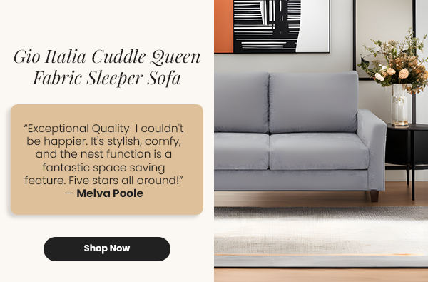 Gio Italia Cuddle Queen Fabric Sleeper Sofa