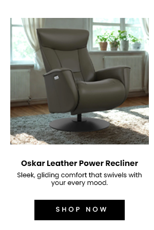 Oskar Leather Power Recliner
