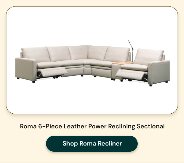 Shop Roma Recliner