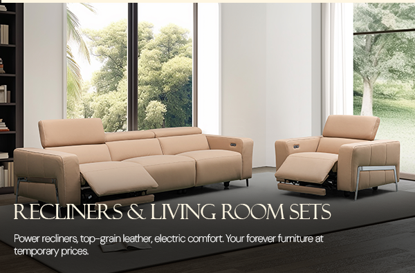 Recliner and Living Room Sets
