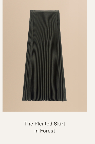 Pleated Skirt