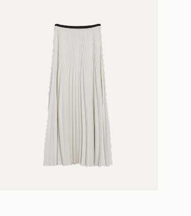 Pleated Skirt