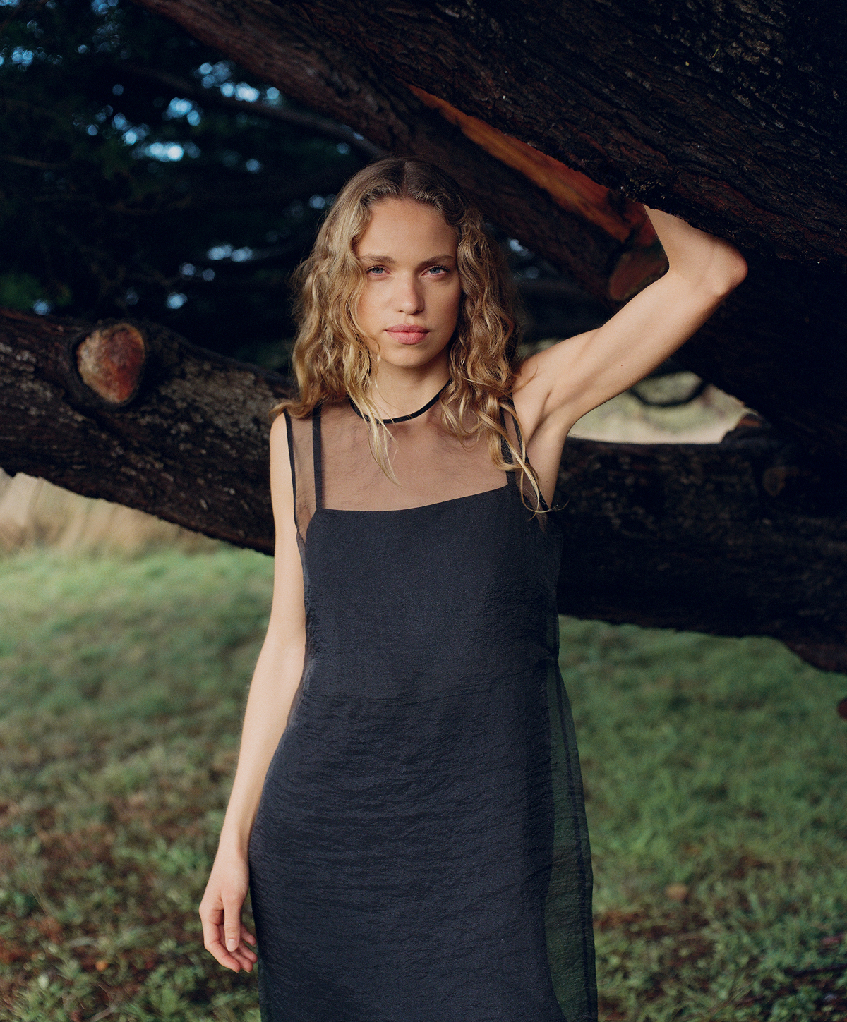 Cora Dress