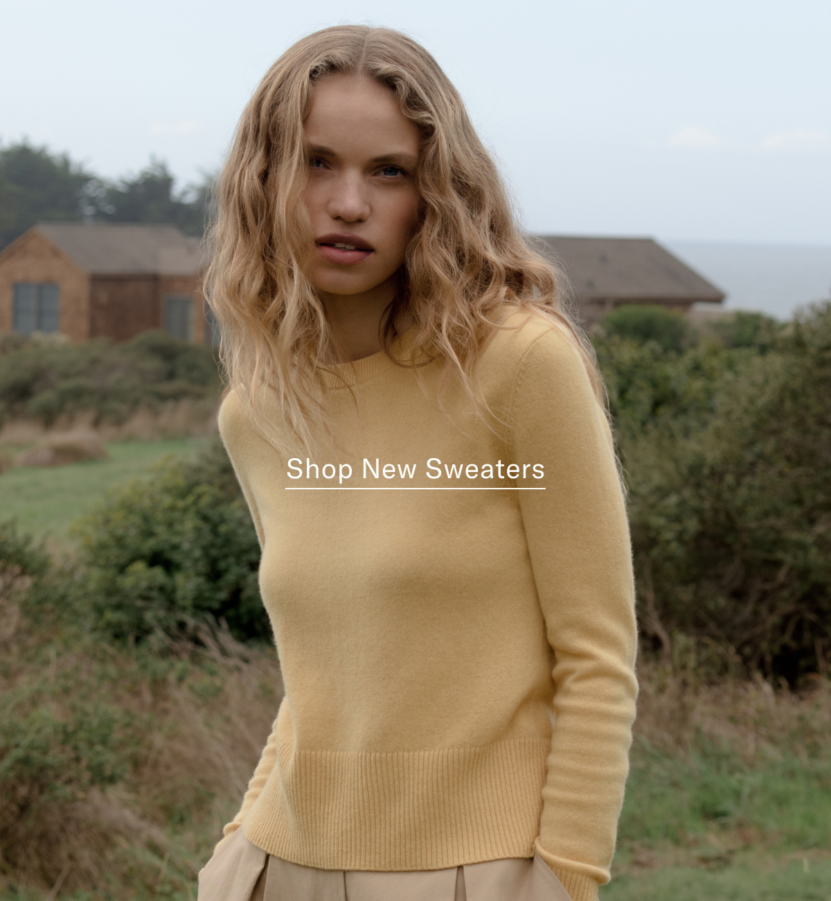 Shop Sweaters