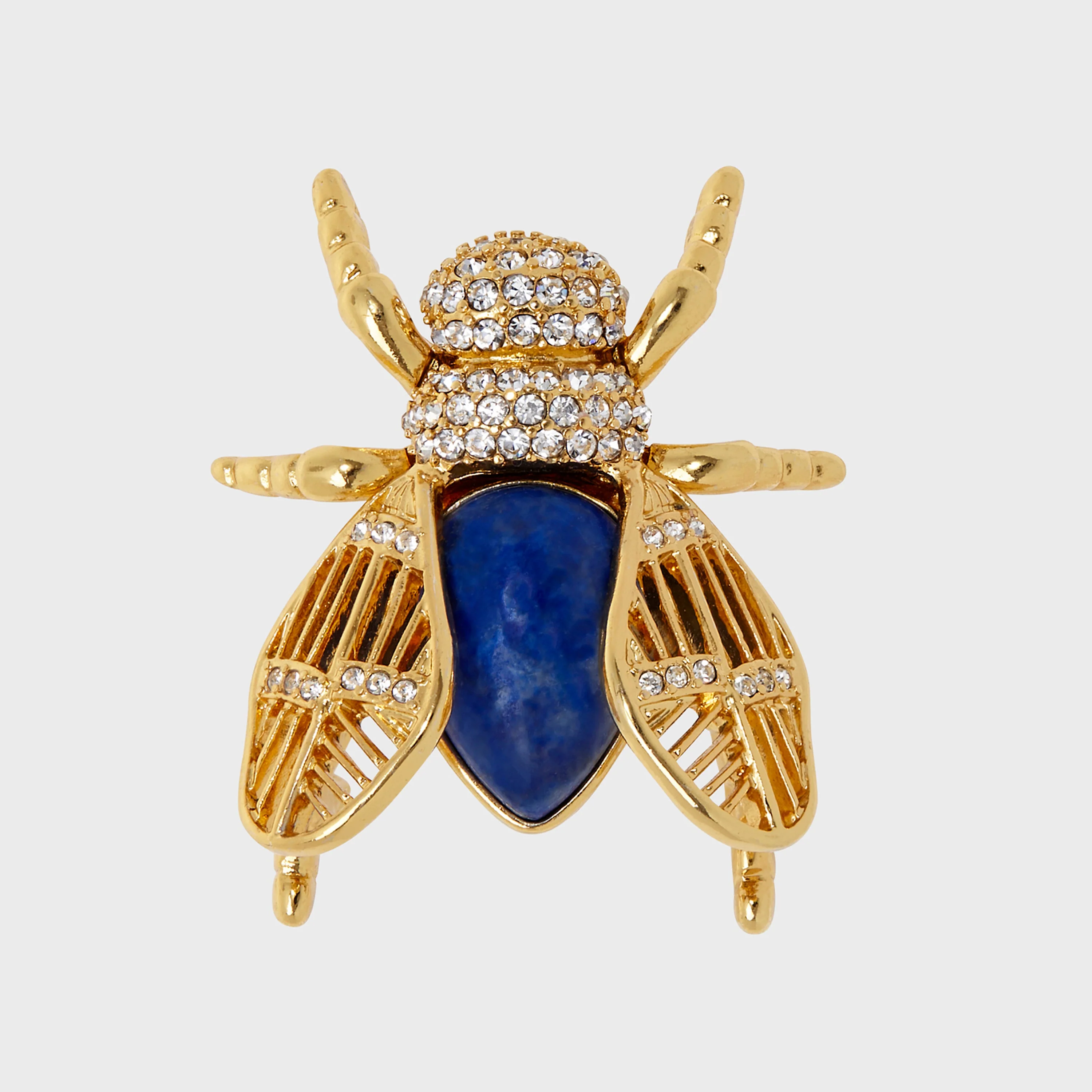 Image of Giant Gem Bug Brooch