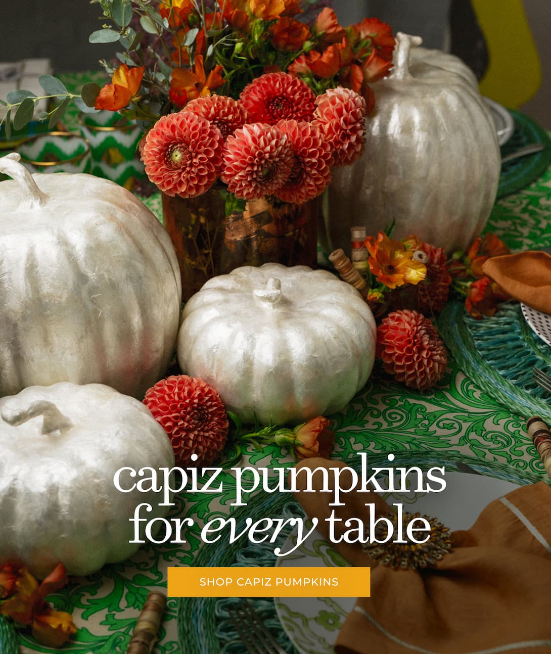 CAPIZ PUMPKINS