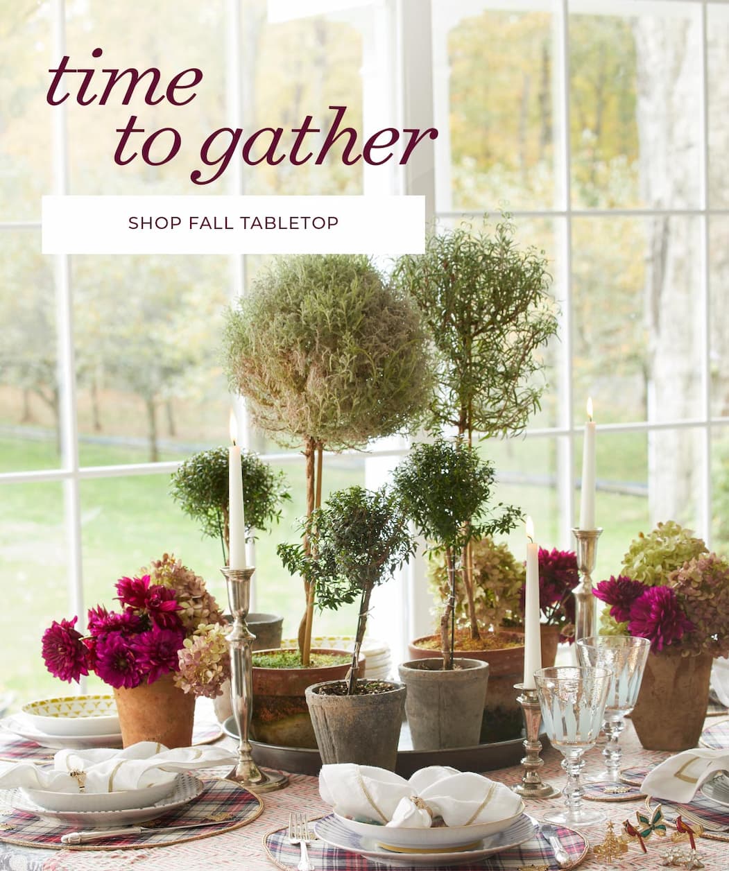 Fall Favorites