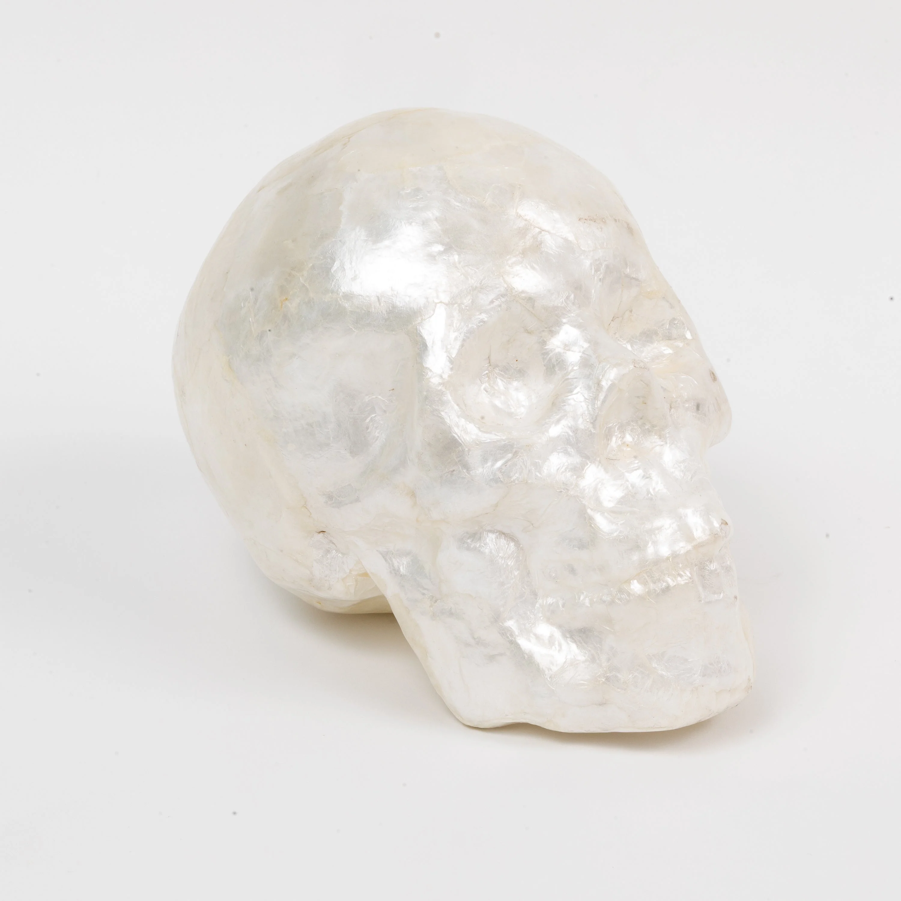 Image of Capiz Skull