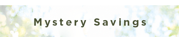 Mystery Savings