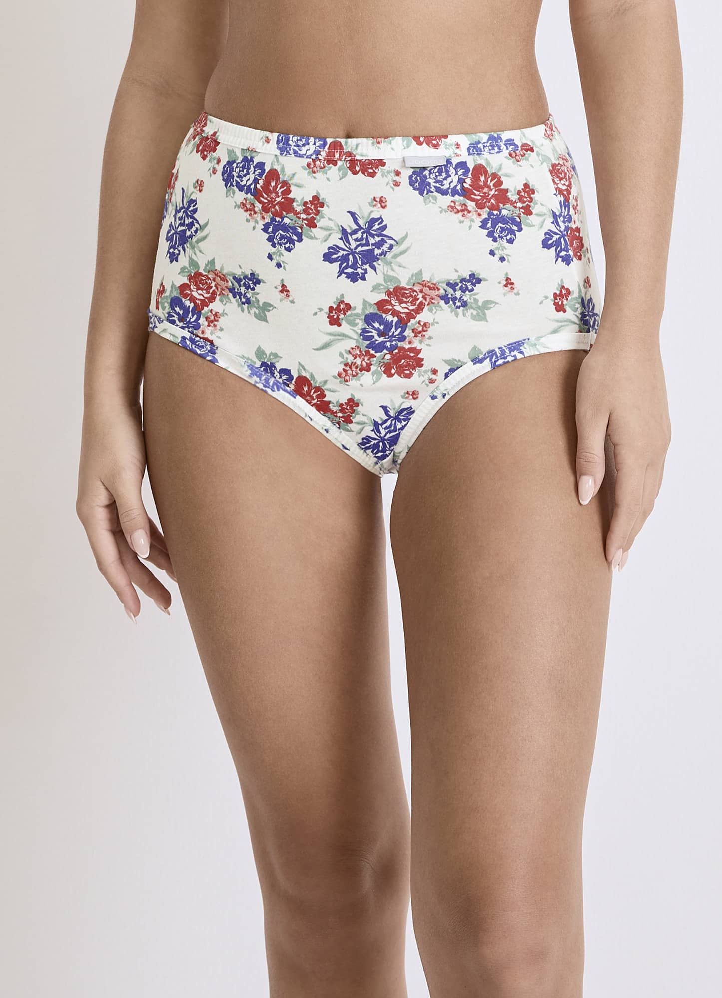Plus Size Elance® Brief - 3 Pack