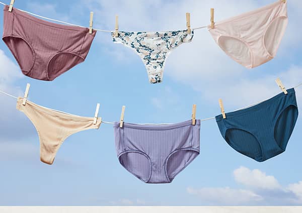 light and airy underwear hanging on a clothes line image