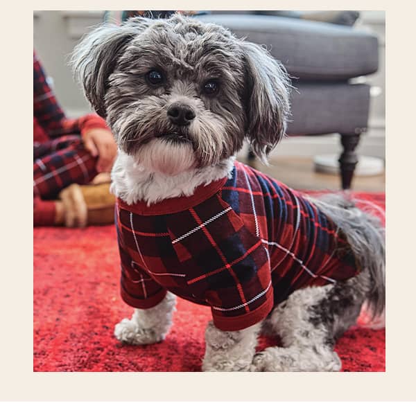 fam jams pup pjs image