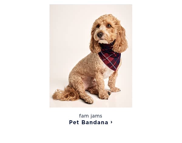 shop fam jams pet bandana